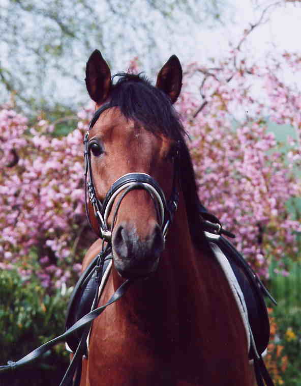 Mai2005