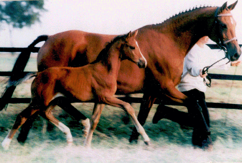 Fleur und Filigran