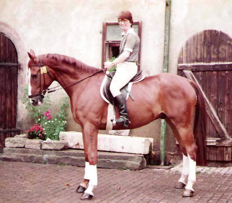 Alias Punkt 1982